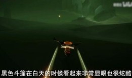 光遇皮肤最新爆料,神秘元素与梦幻色彩交织